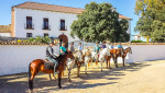 Discover the Beauty of Andalucia on Horseback: Spanish Horse Riding Holidays for All Abilities