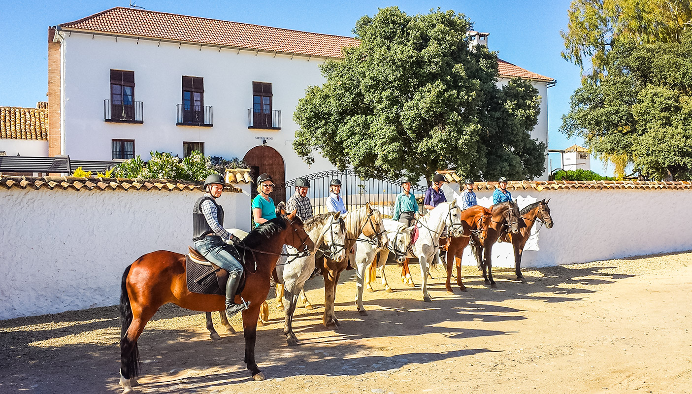 Discover the Beauty of Andalucia on Horseback: Spanish Horse Riding Holidays for All Abilities