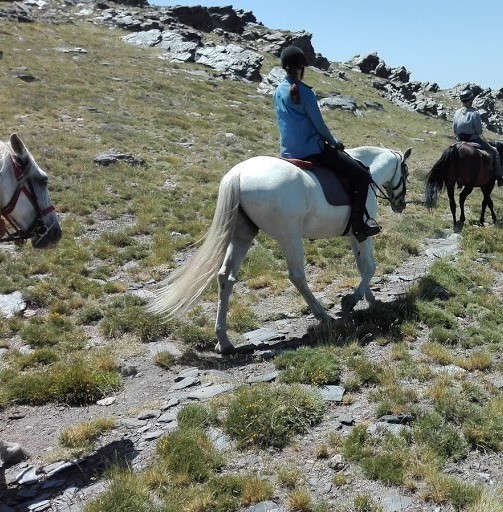 Hemelse Buena Vista trektocht te paard